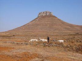 新莊鎮[山東省費縣新莊鎮]