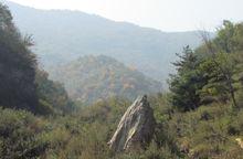 丹江源頭陝西商州鳳凰山