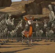 非洲鹿在《馬達加斯加》的形象