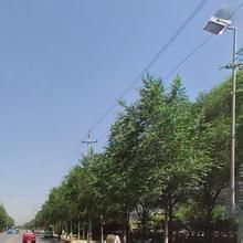 周家泉街道 周家泉街道