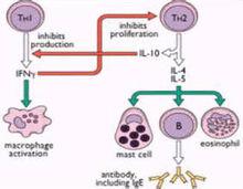白細胞介素10