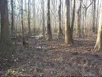 康加里國家公園 康加里國家公園