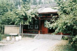 杏簾在望 杏簾在望