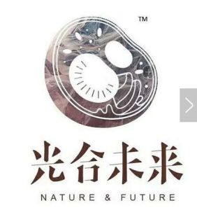 光合未來 光合未來