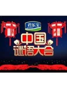 中國謎語大會 中國謎語大會