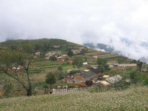 芒蚌第一自然村