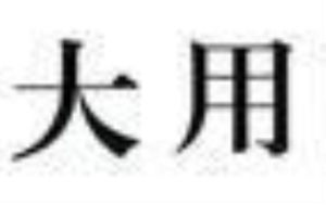 大用 大用