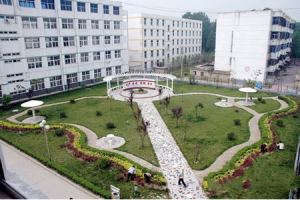 城郊中學校園環境