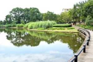 長沙園林生態園 長沙園林生態園