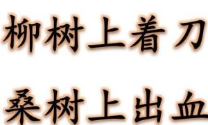 柳樹上著刀,桑樹上出血 柳樹上著刀,桑樹上出血