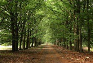 高費呂韋國家公園