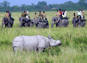 卡齊蘭加國家公園 卡齊蘭加國家公園