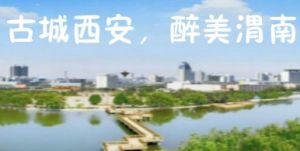 渭南之家 渭南之家