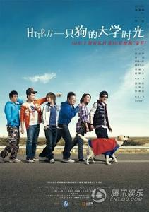 《一隻狗的大學時光》