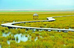 四川若爾蓋國家級自然保護區 四川若爾蓋國家級自然保護區