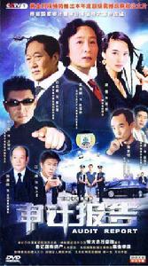審計報告[谷錦雲執導2005年播出的電視劇]
