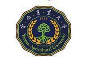 雲南農業大學外語學院