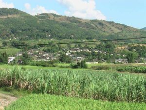 忙弄自然村 忙弄自然村