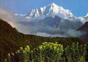 東天山景區 東天山景區
