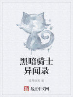 黑暗騎士異聞錄 黑暗騎士異聞錄