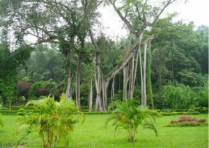 春城園藝示範園 春城園藝示範園