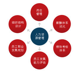 人力資源外包 人力資源外包