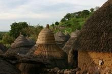 賈河動物保護區 賈河動物保護區