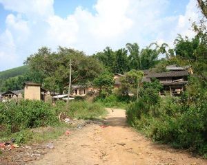 回竜自然村 回竜自然村