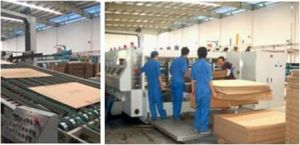 杭州紅劍紙業有限公司