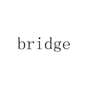 bridge[英語單詞]