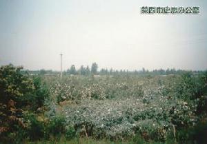 下窪子村[吉林市船營區歡喜鄉下窪子村]