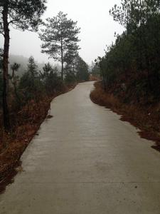 楊嶺崗村 楊嶺崗村