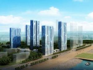 中信大連港 中信大連港