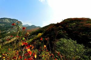 秦[陝西的簡稱]