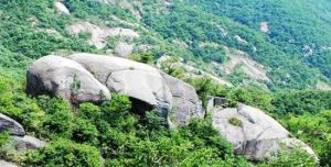 棋盤寨森林人家 棋盤寨森林人家