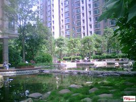 融科三萬英尺 融科三萬英尺