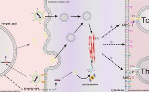DNA甲基化與癌症的關係