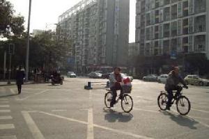 正黃·金域國際 正黃·金域國際