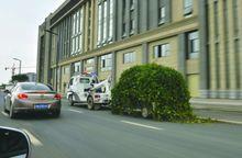 吸引過往路人的關注