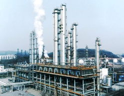 整體改組 整體改組