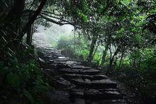 臨安[浙江省杭州市下轄區]