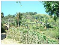 匡曰寨自然村 匡曰寨自然村