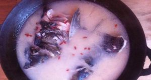 老鄉農莊 老鄉農莊