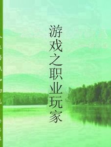 遊戲之職業玩家 遊戲之職業玩家