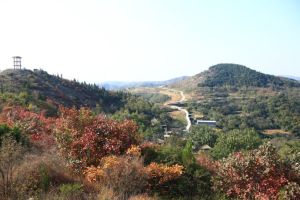 柳樹嶺村 柳樹嶺村