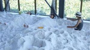 四季生態農業園 四季生態農業園