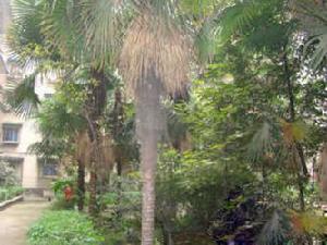 生態庭苑 生態庭苑