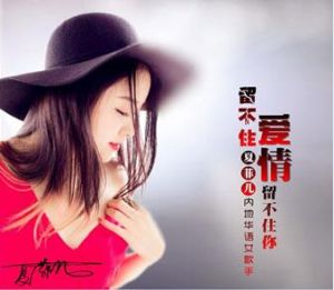 留不住的愛情 留不住的愛情