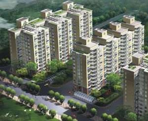 銀凱家園 銀凱家園