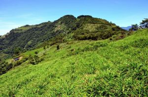 太麻里鄉 太麻里鄉